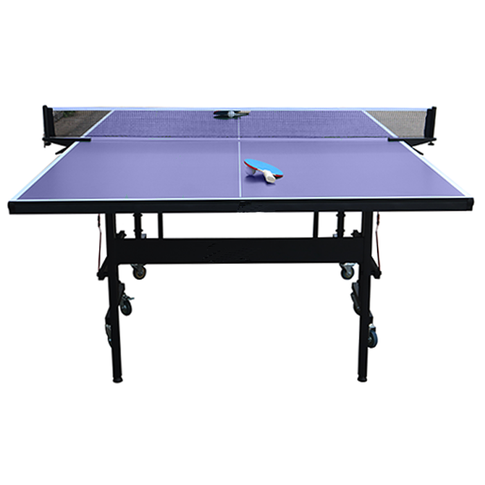 Vecta Professional Table Tennis Table Blue